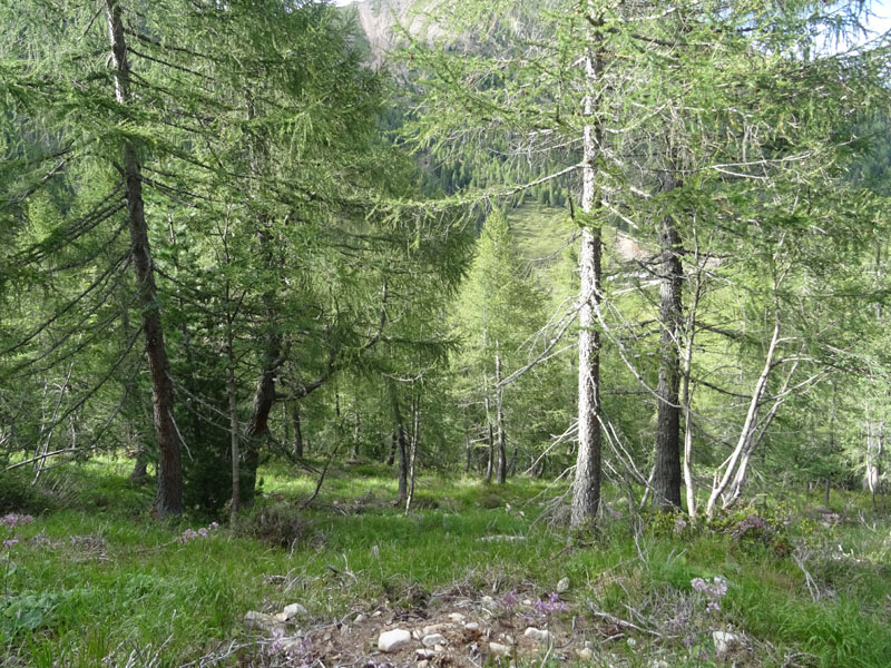 Catena dei Lagorai...da Pergine al Passo del Manghen